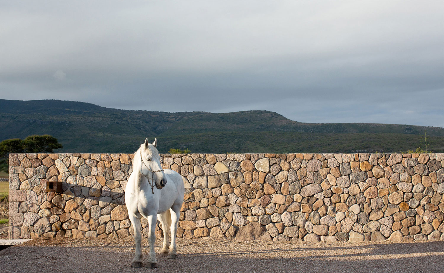 La Providencia, San Miguel de Allende, vida de campo, caballo
